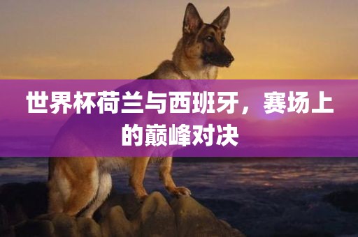 世界杯荷兰与西班牙，赛场上的巅峰对决吉安市靖泰电力工程有限公司