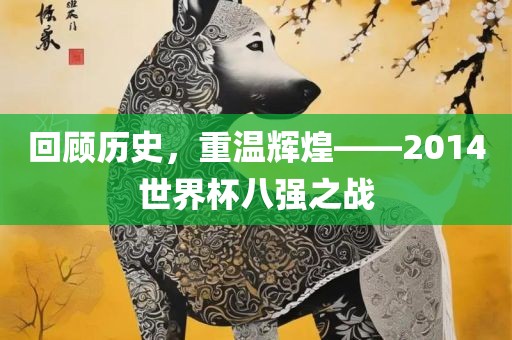 回顾历史，重温辉煌——2014世界杯八强之战