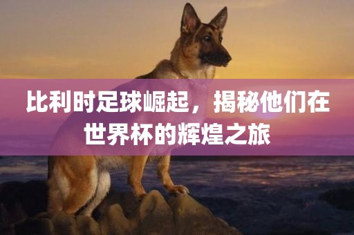比利时足球崛起，揭秘他们在世界杯的辉煌之旅吉安市靖泰电力工程有限公司
