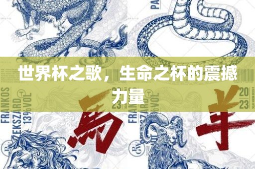 世界杯之歌，生命之杯的震撼力量吉安市靖泰电力工程有限公司
