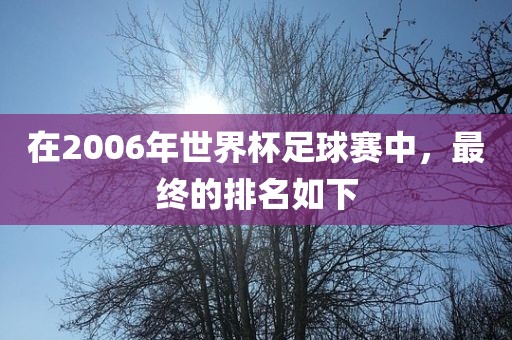 在2006年世界杯足球赛中，最终的排名如下吉安市靖泰电力工程有限公司