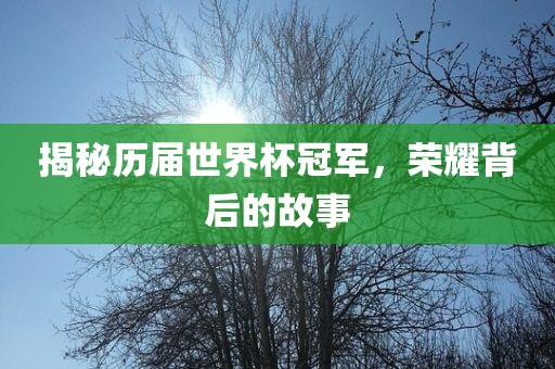 揭秘历届世界杯冠军，荣耀背后的故事吉安市靖泰电力工程有限公司