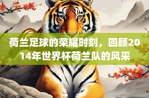 荷兰足球的荣耀时刻，回顾2014年世界杯荷兰队的风采