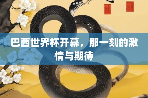 巴西世界杯开幕，那一刻的激情与期待
