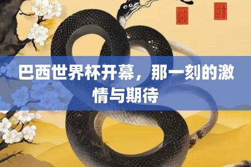 巴西世界杯开幕，那一刻的激情与期待吉安市靖泰电力工程有限公司
