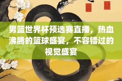 男篮世界杯预选赛直播，热血沸腾的篮球盛宴，不容错过的视觉盛宴