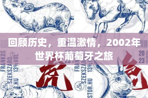 回顾历史，重温激情，2002年世界杯葡萄牙之旅