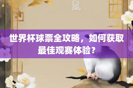 世界杯球票全攻略，如何获取最佳观赛体验？