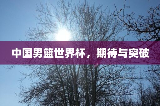 中国男篮世界杯，期待与突破