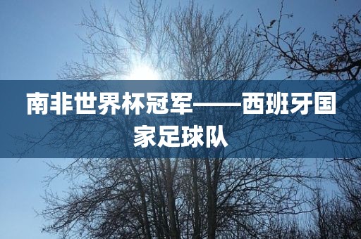 世界杯冠军 第5页