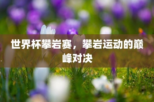 世界杯攀岩赛，攀岩运动的巅峰对决
