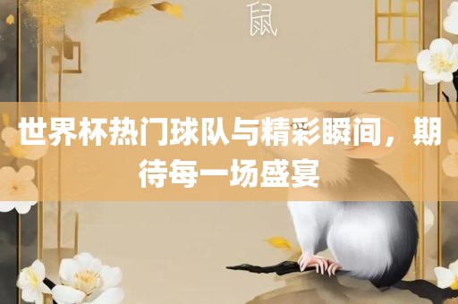 世界杯热门球队与精彩瞬间，期待每一场盛宴
