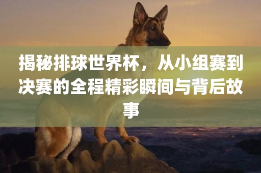 揭秘排球世界杯，从小组赛到决赛的全程精彩瞬间与背后故事