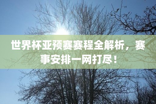 世界杯亚预赛赛程全解析，赛事安排一网打尽！