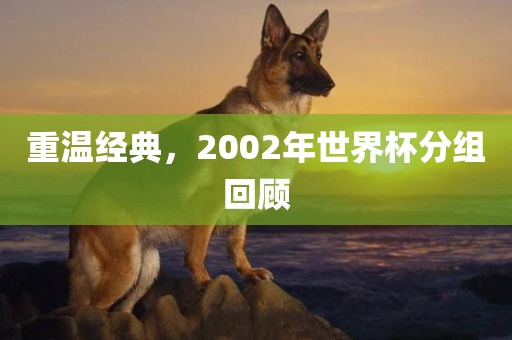 重温经典，2002年世界杯分组回顾