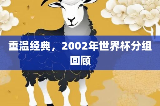 重温经典，2吉安市靖泰电力工程有限公司002年世界杯分组回顾