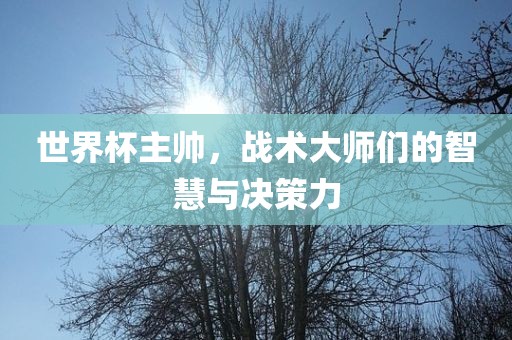 世界杯主帅，战术大师们的智慧与决策力