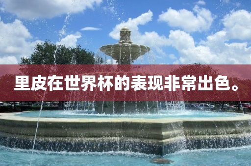 世界杯表现 第2页