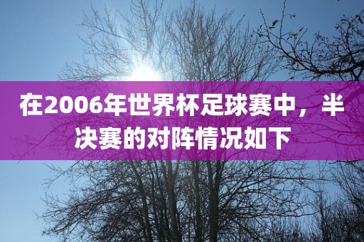 在2006年世界杯足吉安市靖泰电力工程有限公司球赛中，半决赛的对阵情况如下
