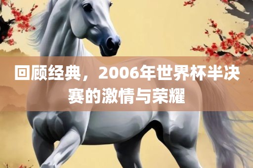 回顾经典，2006年世界杯半决赛的激情与荣耀