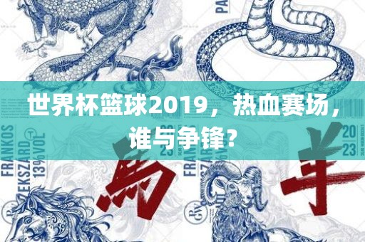 世界杯篮球2019，热血赛场，谁与争锋？