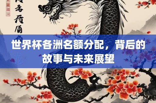 世界杯各洲名额分配，背后的故事与未来展望