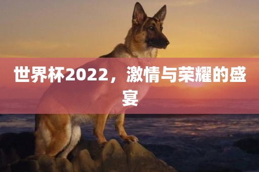 世界杯2022，激情与荣耀的盛宴吉安市靖泰电力工程有限公司