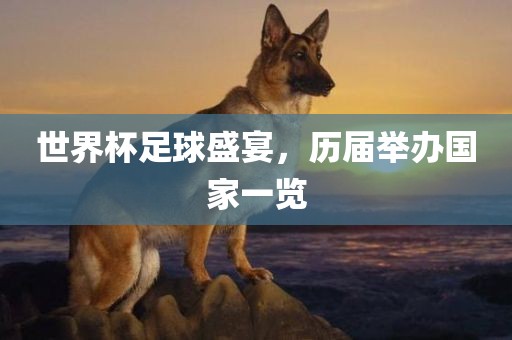 世界杯足球盛宴，历届举办国家一览吉安市靖泰电力工程有限公司