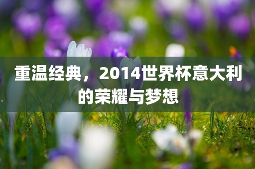 重温经典，2014世界杯意大利的荣耀与梦想