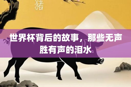 世界杯背后的故事，那些无声胜有声的泪水