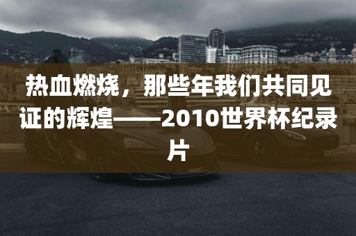 热血燃烧，那些年我们共同见证的辉煌——2010世界杯纪录片