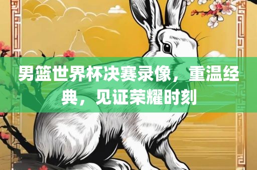 男篮世界杯决赛录像，重温经典，见证荣耀时刻