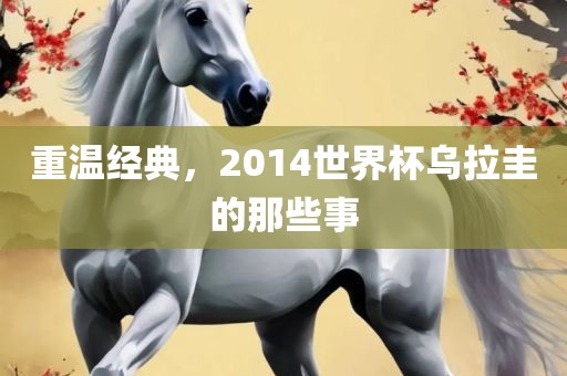 重温经典，2014世界杯乌拉圭的那些事