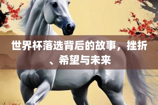 世界杯落选背后的故事，挫折、希望与未来