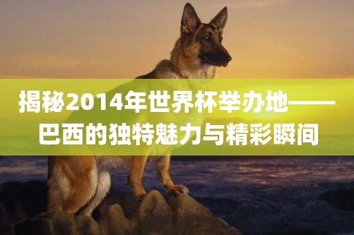 揭秘2014年世界杯举办地——巴西的独特魅力与精彩瞬间吉安市靖泰电力工程有限公司