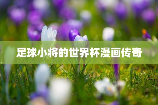 足球小将的世界杯漫画传奇