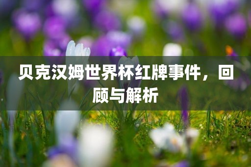 贝克汉姆世界杯红牌事件，回顾与解析