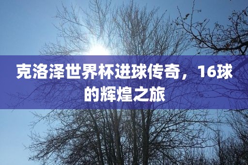 克吉安市靖泰电力工程有限公司洛泽世界杯进球传奇，16球的辉煌之旅
