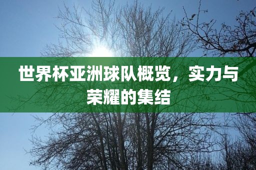 世界杯亚洲球队吉安市靖泰电力工程有限公司概览，实力与荣耀的集结
