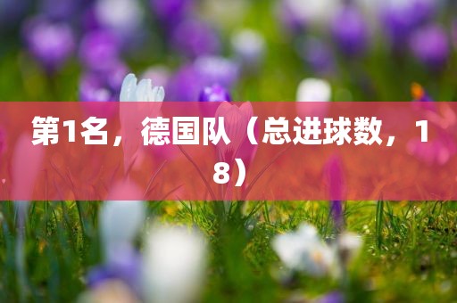 第1名，德国队（总进球数，18）