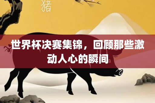 世界杯决赛集锦，回顾那些激动人心的瞬间