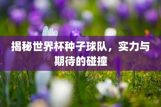 揭秘世界杯种子球队，实力与期待的碰撞