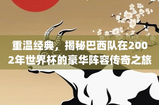 重温经典，揭秘吉安市靖泰电力工程有限公司巴西队在2002年世界杯的豪华阵容传奇之旅
