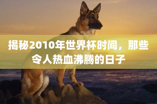 揭秘2010年世界杯时间，那些令人热血沸腾的日子吉安市靖泰电力工程有限公司