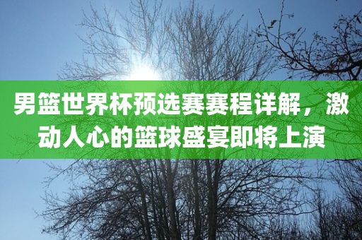男篮世界杯预选赛赛程详解，激动人心的篮球盛宴即将上演吉安市靖泰电力工程有限公司