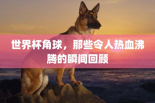 世界杯角球，那些令人热血沸腾的瞬间回顾吉安市靖泰电力工程有限公司