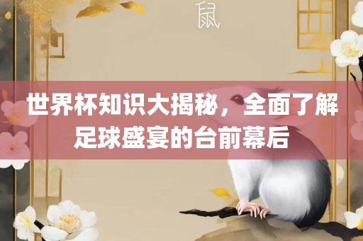 世界杯知识大揭秘，全面了解足球盛宴的台前幕后吉安市靖泰电力工程有限公司