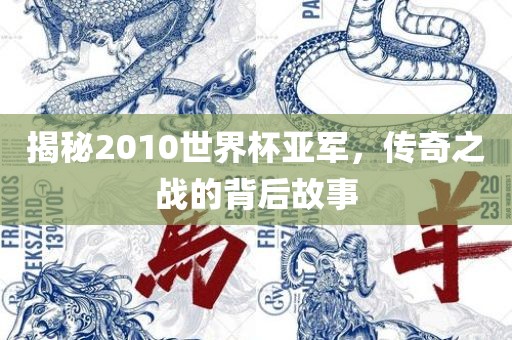 揭秘2010世界杯亚军，传奇之战的背后故事吉安市靖泰电力工程有限公司