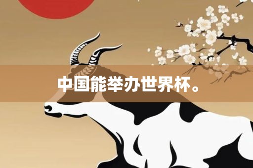 中国能举办世界杯。吉安市靖泰电力工程有限公司