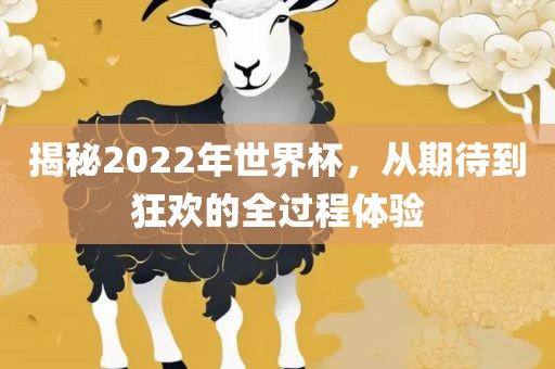 揭秘2022年世界杯，从期待到狂欢的全过程体验吉安市靖泰电力工程有限公司